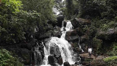 5 Famous Waterfalls Near Dandeli Best Time To Visit And How To Reach