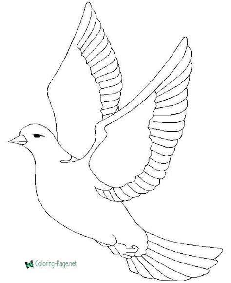 Gambar Printable Bird Colouring Pages Kids Dove Page Coloring Di