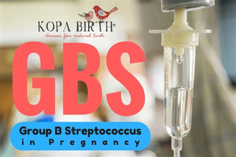 Gbs Group B Streptococcus In Pregnancy Kopa Birth®