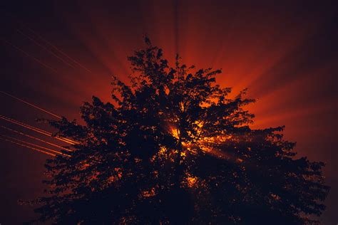 Trees Rays Sun Sunset Hd Wallpaper Peakpx