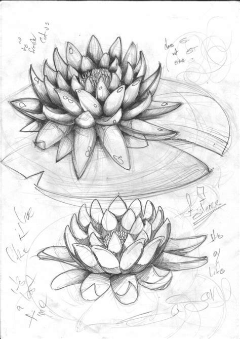 Pensil Lukisan Bunga Teratai 20 Tattoo Ideas Lily Pads Water Lilies