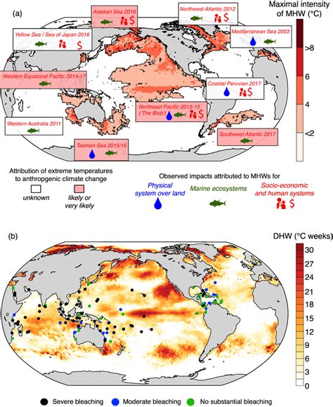 3 Examples Of Recent Marine Heatwaves And Their Observed Impacts A