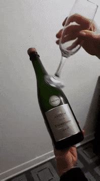 Champagne Fails Gifs