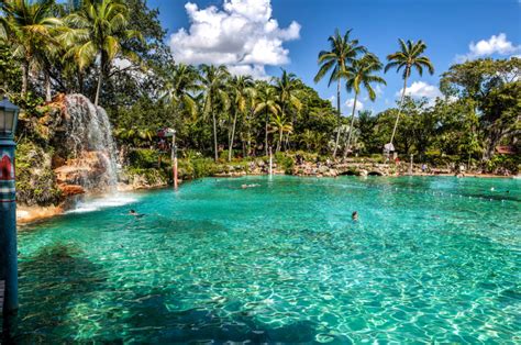 Best Time For Venetian Pool Coral Gables In Florida 2018 And Map