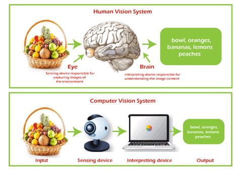 Computer Vision Techniques Javatpoint