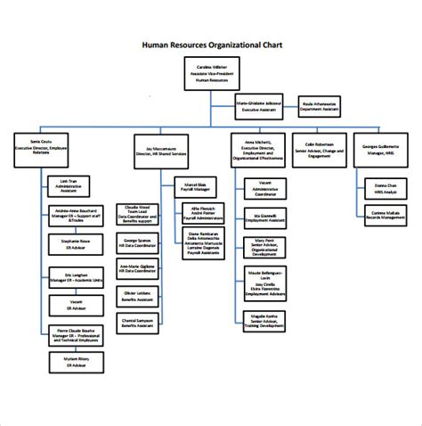 Hr Organizational Chart Human Resources Mission Consolidated Gambaran