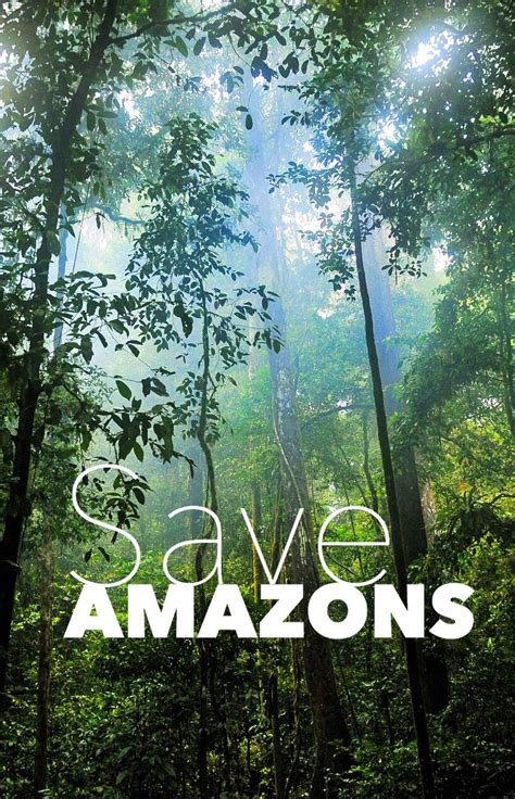 Let S Save The Rainforest Together With Wwf And Baidu South America Travel Destinations
