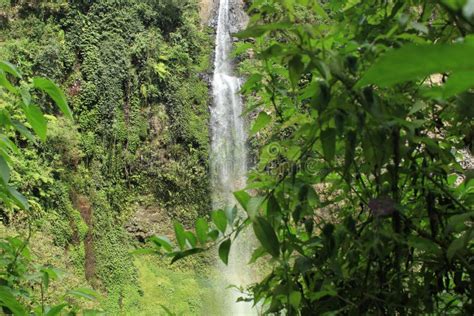 Beautiful Waterfall In Tropical Rainforest Indonesia Waterfall In