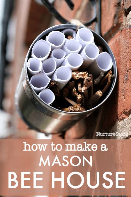 Make a diy insect hotel for the upcoming winter! Animals Archives - NurtureStore