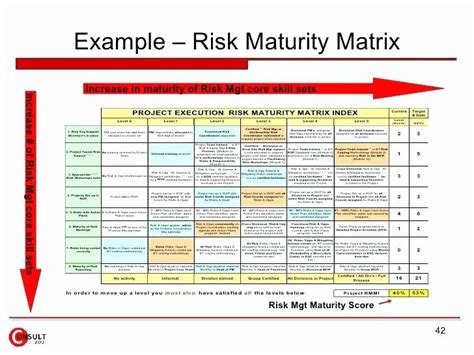 Project Risk Assessment Template Awesome Riskyproject Probability Vs