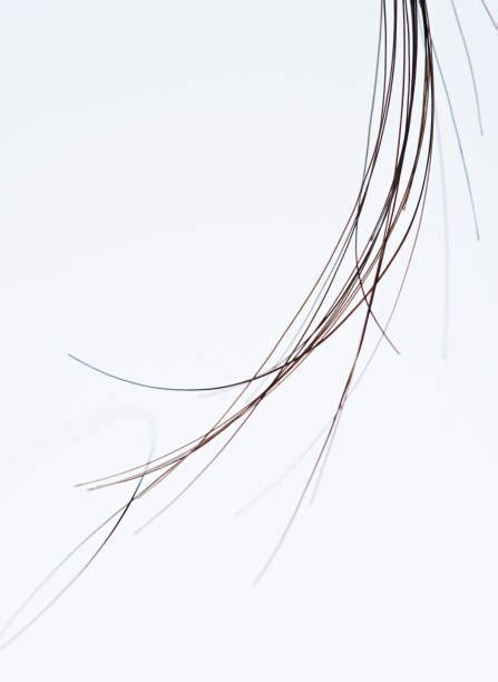 Best Strands Of Hair Stock Photos Pictures And Royalty Free Images Istock