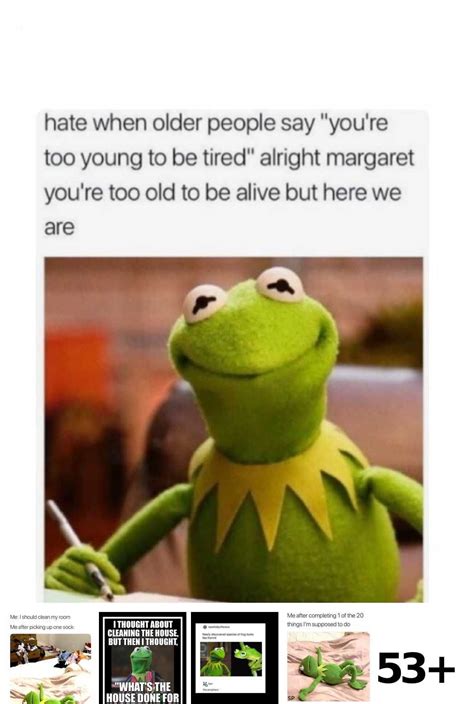 27 Funny Clean Kermit Meme