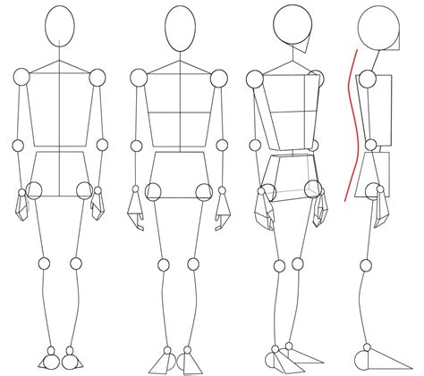 The Diagram Shows How To Draw A Human Figure With Different Angles And