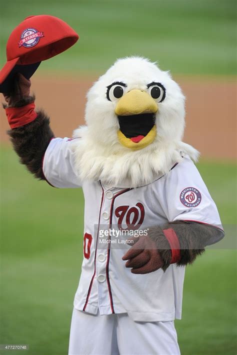 The Washington Nationals Mascot Screech Looks On During A Baseball