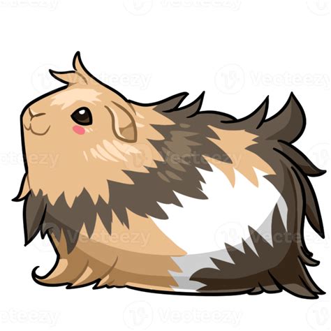 Guinea Pig Png File Png Mart