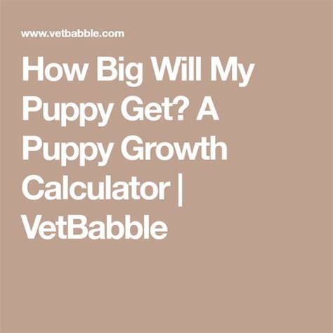 Our growth percentile calculator helps you know your child's size in comparison to other children of the same age using who baby growth chart. How Big Will My Puppy Get? A Puppy Growth Calculator ...