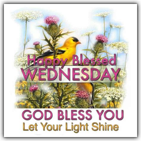 Happy Blessed Wednesday May God Bless You Blessed Wednesday Good