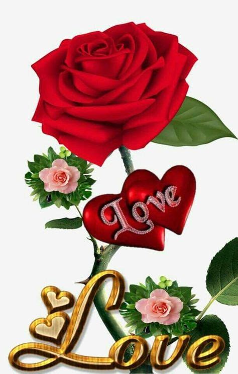 210 Ideas De Mi Corazon Rosas Bonitas Flores De Amor Imágenes De
