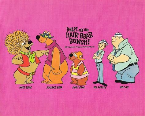 Help Its The Hair Bear Bunch Nbc Hanna Barbera 1972 Cartoons