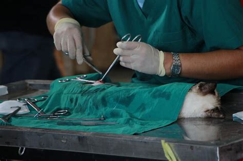 Tipos de suturas en cirugía cuál escoger