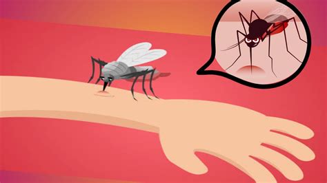 Heres Why Mosquitoes Bite You More Than Others Youtube