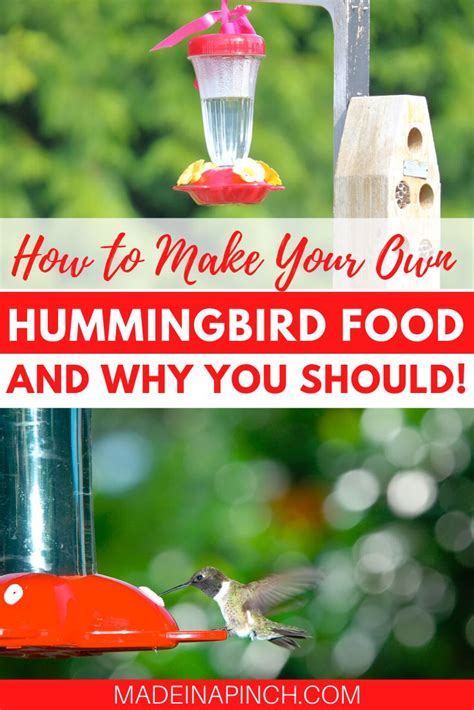 Best Easy Homemade Hummingbird Food Recipe 2 Ingredients Recipe