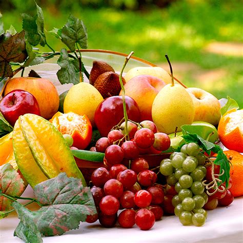 Top 10 Fruits To Boost Your Daily Health