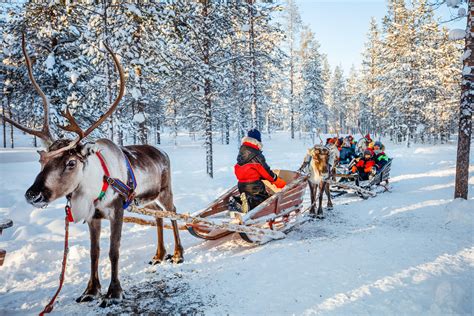 Rovaniemi Tour Package Finalnad Winter Wonders