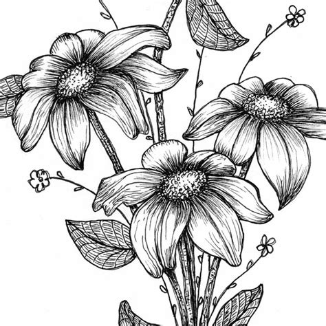 Sunflower sketches sunflower drawing sunflower art fall drawings ink pen drawings zentangle drawings flower art drawing flower. Sienna Says: Pen and Ink