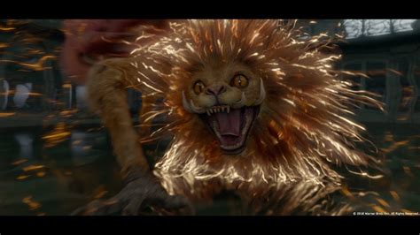 Fantastic Beasts The Crimes Of Grindelwald 2018 Monster Cats Scene