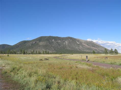 Walking Flagstaff Buffalo Park