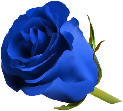 Flor Azul Png Transparente Png All