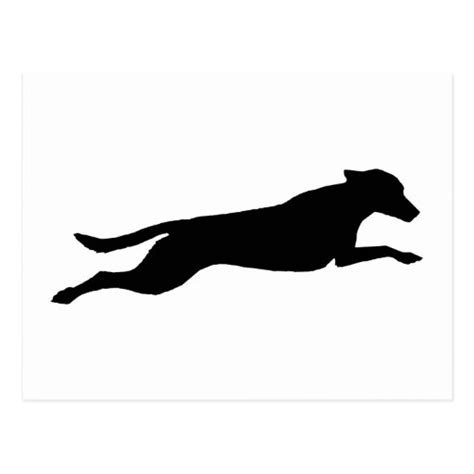 Jumping Dog Silhouette Postcard Zazzle