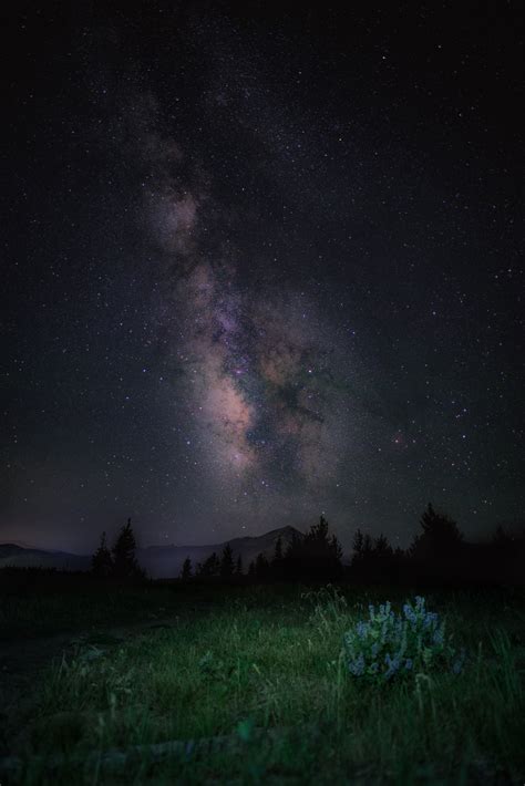 Wallpaper Starry Sky Night Mountains Grass Milky Way 4016x6016