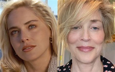 Sharon Stone Mostra Beleza Natural Aos 62 Anos Sempre Perfeita