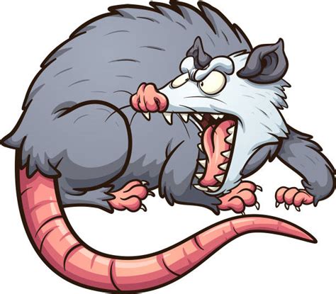 30 Possum Mad Stock Illustrations Royalty Free Vector Graphics And Clip