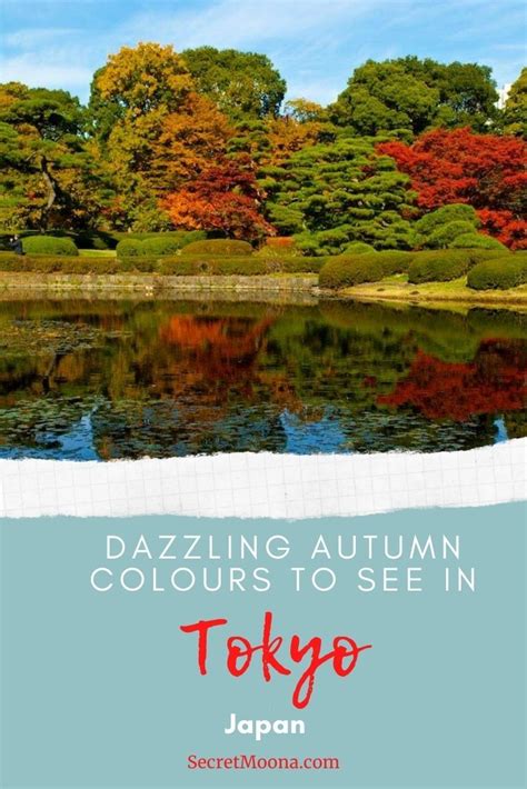 Dazzling Autumn Colours To See In Tokyo Parks And Gardens Discover The Most Beautiful Gardens