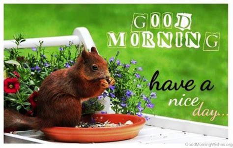 Funny Good Morning Picture Lovely Cute Good Mornings 1024x652