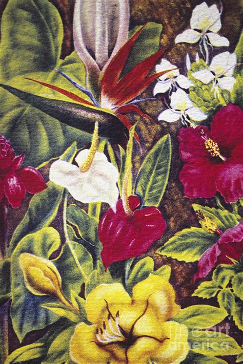 This site contains information about vintage tropical print. Vintage Tropical Flowers Painting by Hawaiian Legacy ...