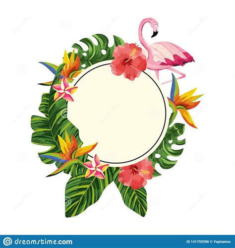 Tropical Flamingo Cartoon Stock Vector Illustration Of