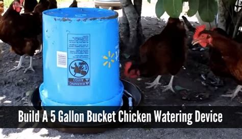 How To Build A Chicken Waterer Using A 5 Gallon Bucket