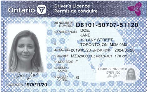 Ontario Extends Drivers Licence Ohip Card Renewals Windsor Star