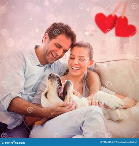 Composite Image Of Happy Couple Petting Their Yellow Labrador On The