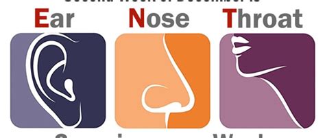 December 3 9 Is Ear Nose And Throat Consciousness Week Healthy Life