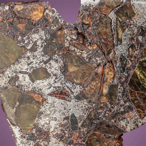 Wendel Minerals Item 4455 Pallasite Meteorite Admire Meteorite