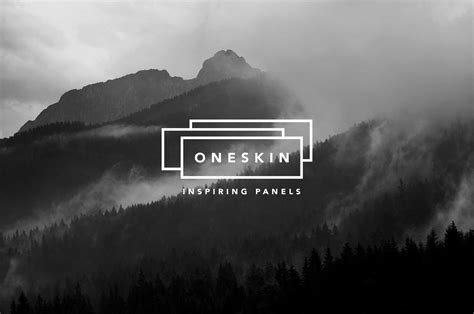 Oneskin Inspiring Panels