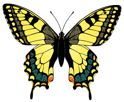 Yellow Butterfly Png Image Butterflies Pinterest Butterfly
