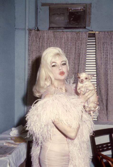 Living In A Retro World Jayne Mansfields Jayne Mansfield At The Latin
