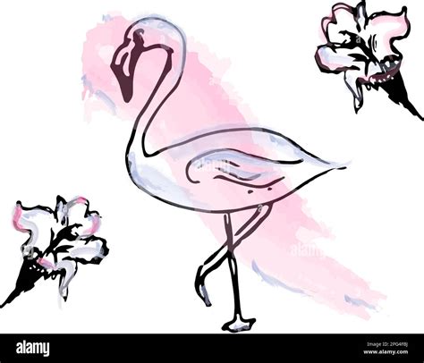 Flamingo Watercolor Line Art Vector Tropical Theme Poster Stock Vector