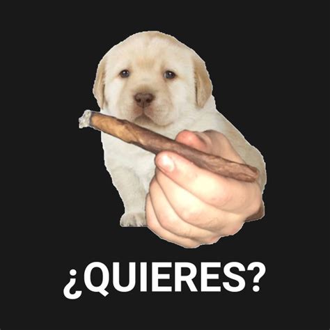 Download Meme Quieres Png And  Base
